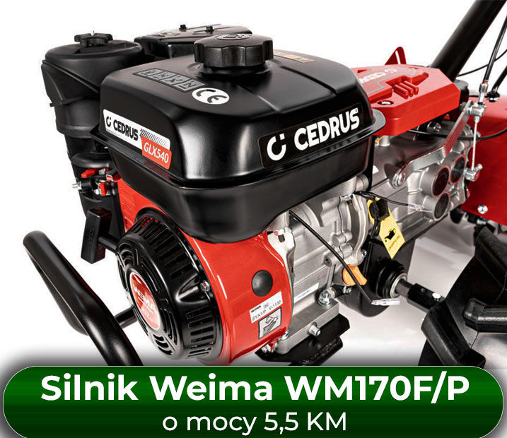 Silnik Weima WM170F/P o mocy 5,5 KM